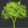 hevea-nature.fr
