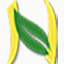 neginazinco.com