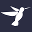 sanar-institute.org