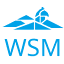 wsm.wielun.pl