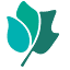 npca.ca