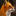 qrpfoxhunt.org