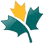 termcanada.com