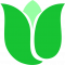 thegreenpinky.com
