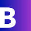 bgov.com