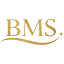 bmscarpetcleaners.com