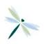 dira4u.com