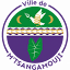 mairiedemtsangamouji.fr