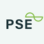 pse-power.com