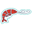 shrimphouse.com