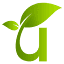 uzed.com