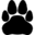 whitevetclinic.com