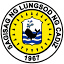 cadizcity.gov.ph
