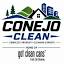 cleanseyourbins.com