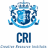creativeresourceinstitute.com