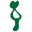 exoticaplants.com.au