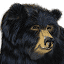 grumpyshoneybunch.com