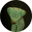 keepinginsects.com