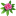 rhododendrons.ru