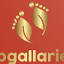 vipgalleries.nl