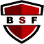 blinkvigilance.com