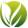 jamudigital.com