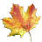 jehaisleprintemps.net