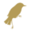 la-raia.it