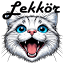 lekkoer.shop