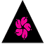 moodygardens.com