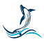 ocean-whale.com