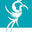 phoenixanddragon.com