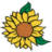 razzledazzleflowers.com