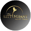 thelittlegiantmuaythai.com