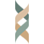 bernercurriculum-aim.ch