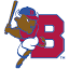 bisons.com