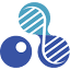 bsgct.org