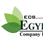 ecs-irr.com