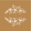 elogedelacuriosite.com