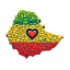 ethiovibes.com