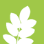 fosterplants.com