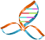 genealogiequebec.info