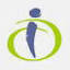 insideouthealth.com.au