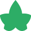 ivystreetschool.org