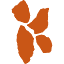 kierikki.fi