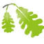 milewoodcare.com