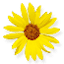 solophotoshop.com