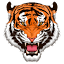 tiger800.co.uk