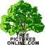 treepicturesonline.com