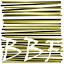bluffbeachandforest.com